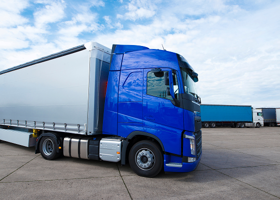 Строгое соблюдение сроков «день в день»